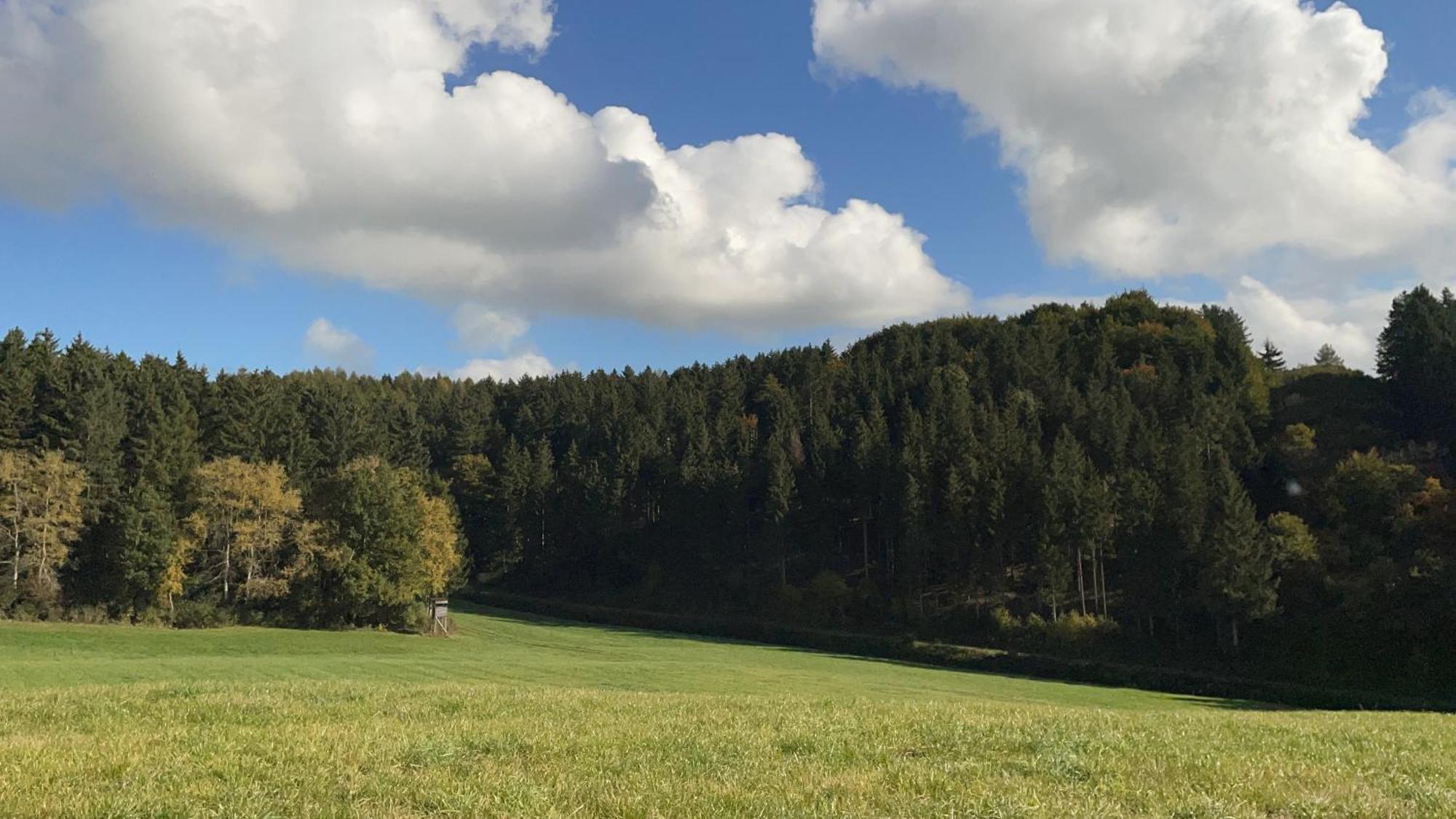Deine-Eifel-Ferienwohnung Feusdorf Exterior foto