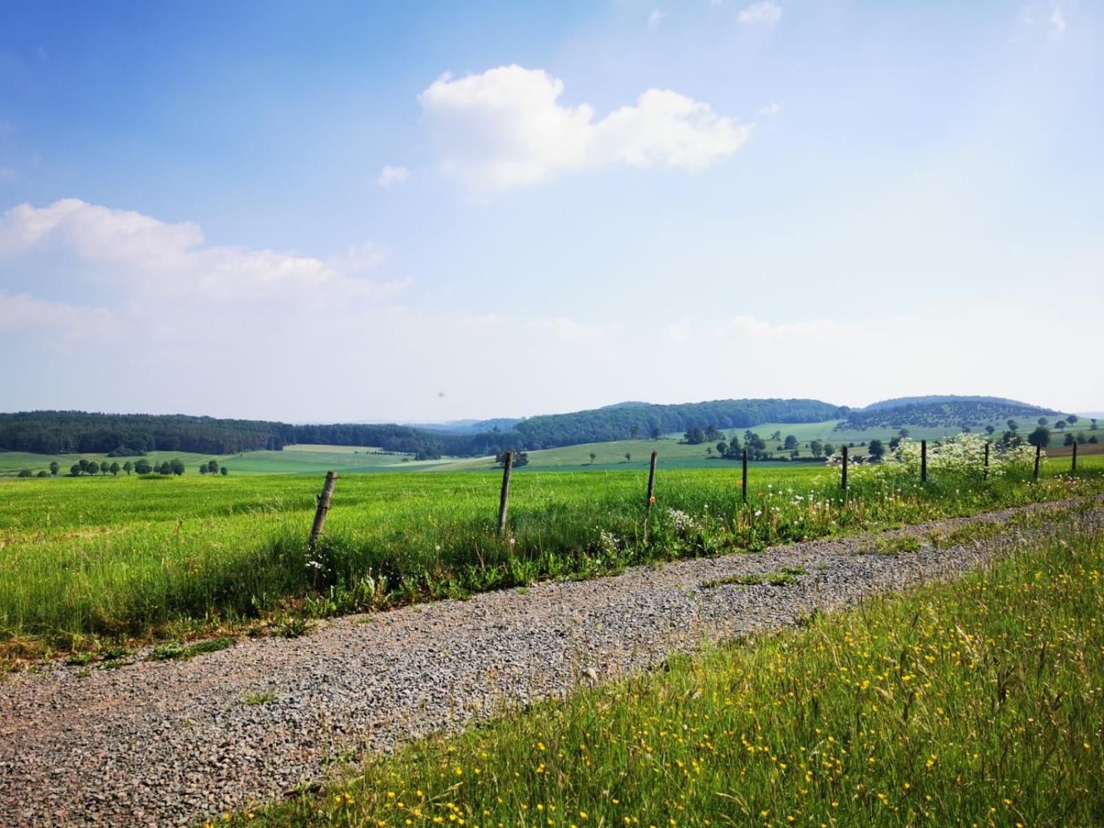 Deine-Eifel-Ferienwohnung Feusdorf Exterior foto